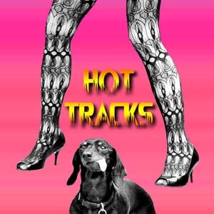 CD cover of 'Hot Tracks' by Hollander